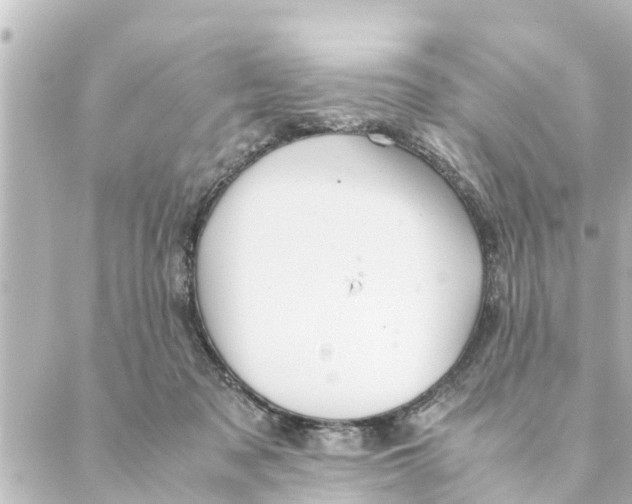 X0000088620317200706221502