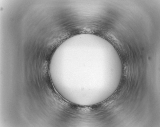 X0000088620318200706221502