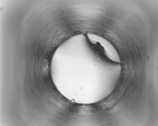 X0000088620320200706221502