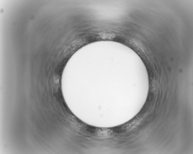 X0000088620321200706221502