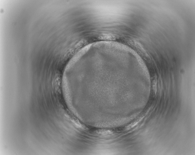 X0000088620322200706221502