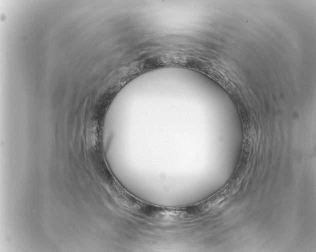 X0000088620323200706221502