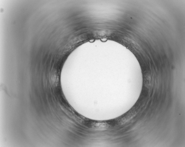 X0000088620324200706221502