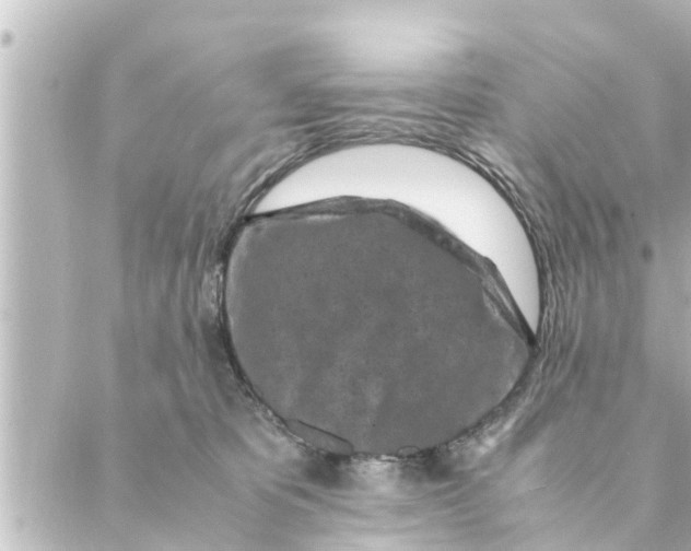 X0000088620325200706221502