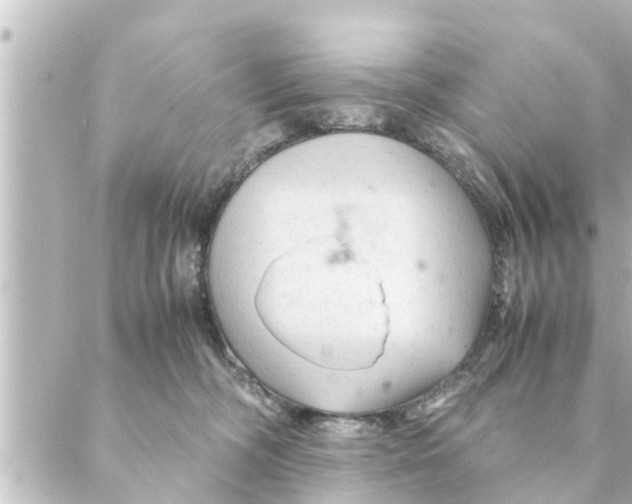 X0000088620326200706221502