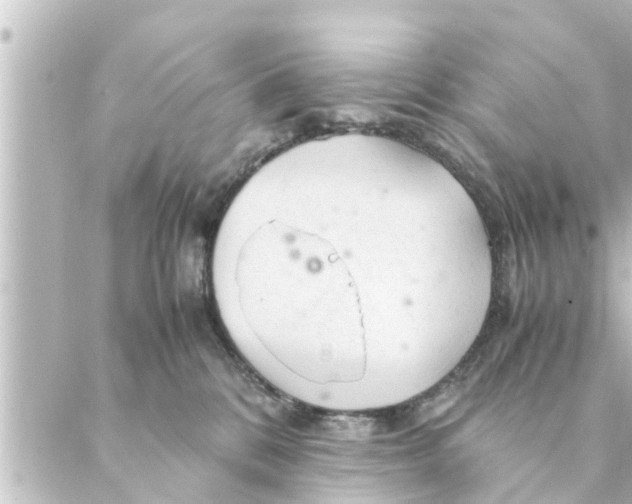 X0000088620328200706221502