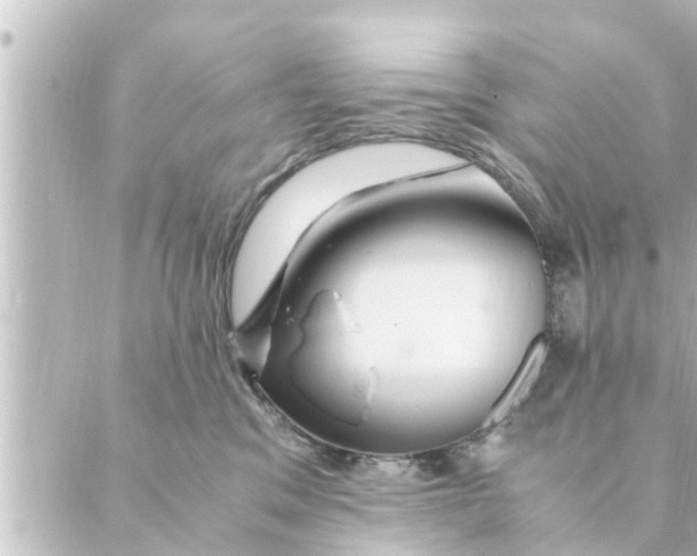 X0000088620329200706221502