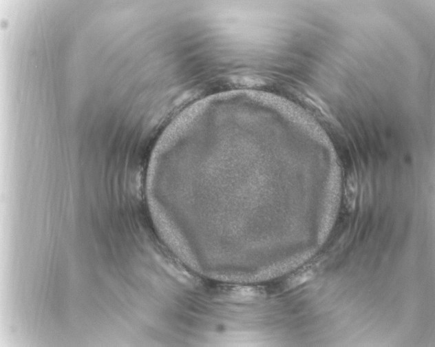 X0000088620330200706221502