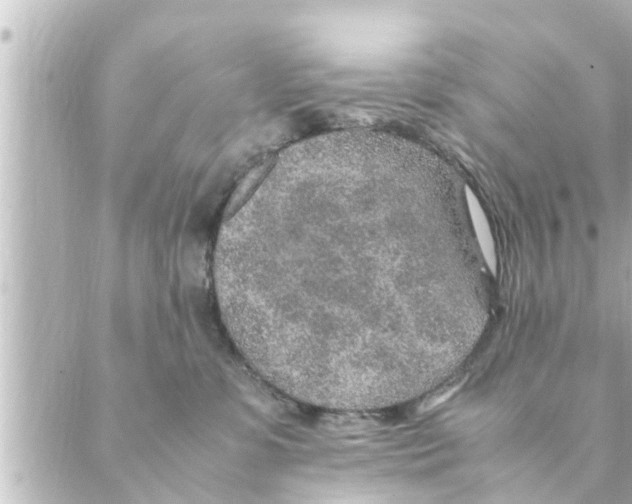 X0000088620331200706221502