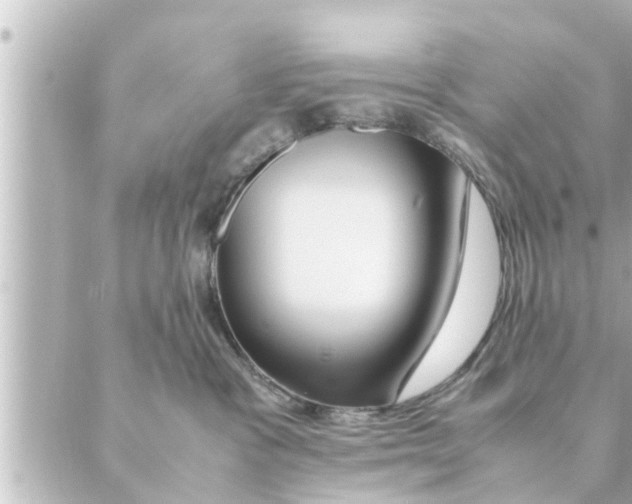 X0000088620333200706221502