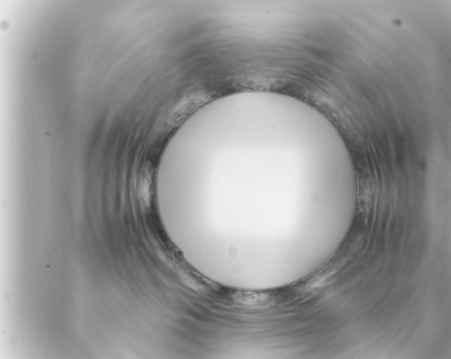 X0000088620334200706221502