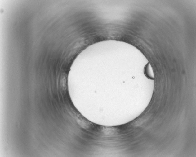 X0000088620336200706221502