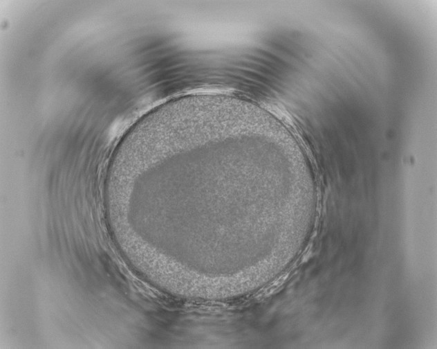 X0000088620337200706221501