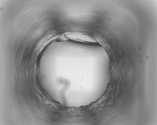 X0000088620338200706221501