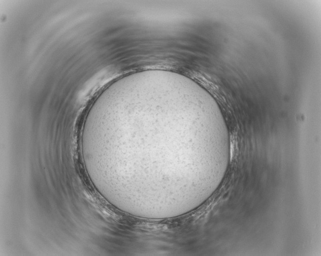 X0000088620339200706221501