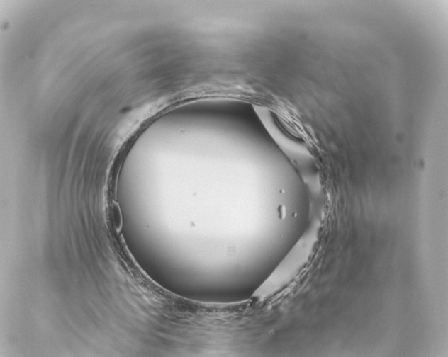 X0000088620340200706221501