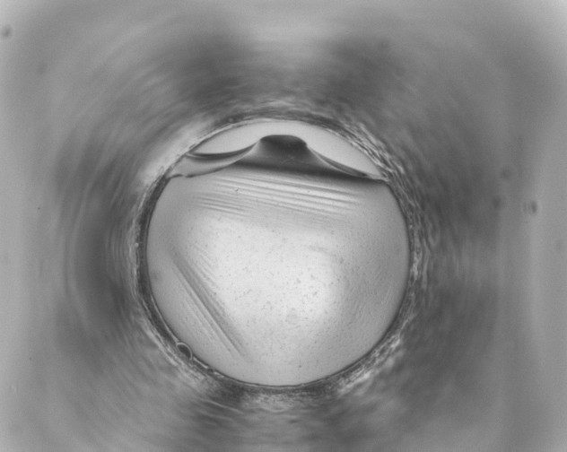 X0000088620341200706221501