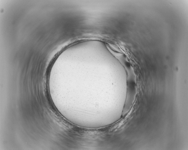 X0000088620342200706221501