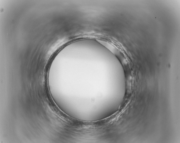 X0000088620344200706221501