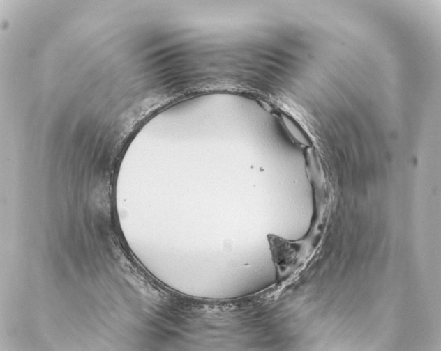 X0000088620345200706221501