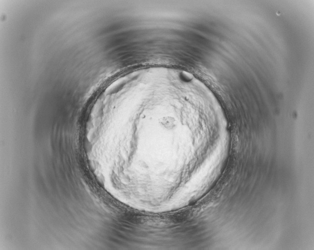 X0000088620347200706221501