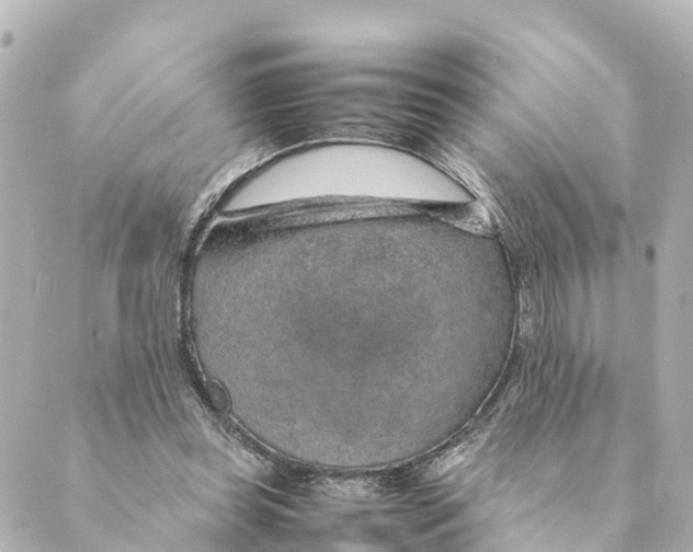 X0000088620349200706221501