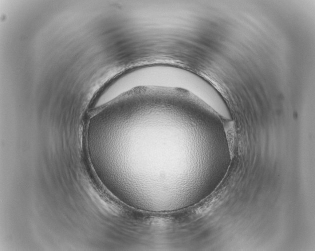 X0000088620350200706221501