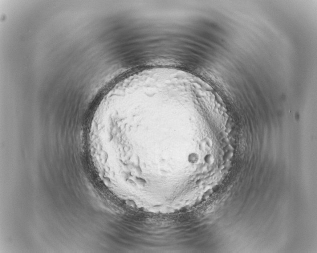 X0000088620351200706221501