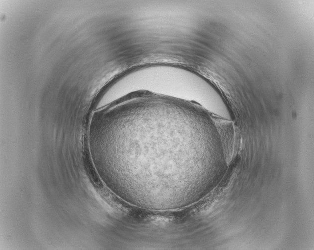 X0000088620352200706221501