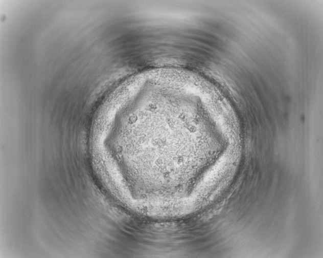 X0000088620353200706221501