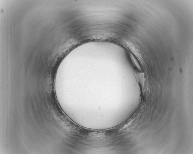 X0000088620354200706221501