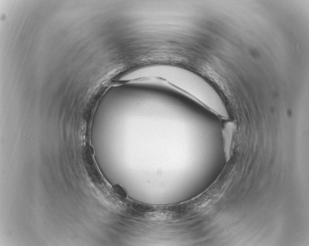 X0000088620356200706221501