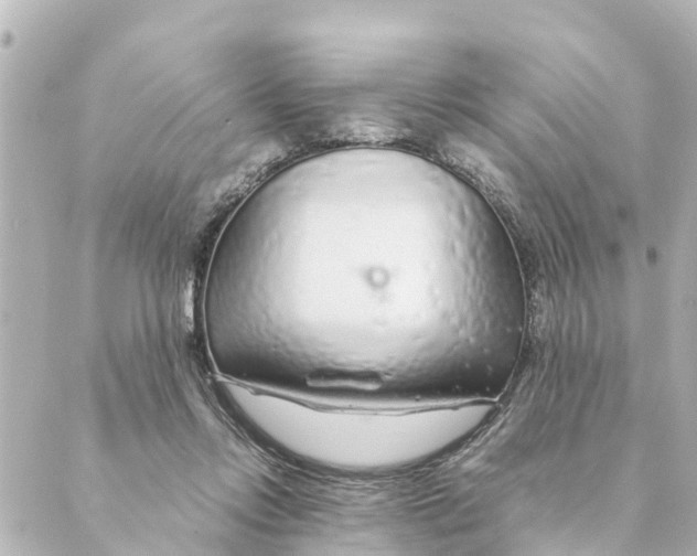 X0000088620358200706221501