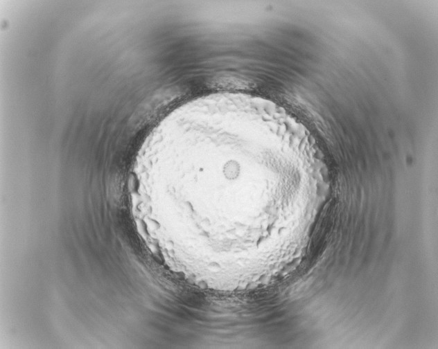 X0000088620359200706221501