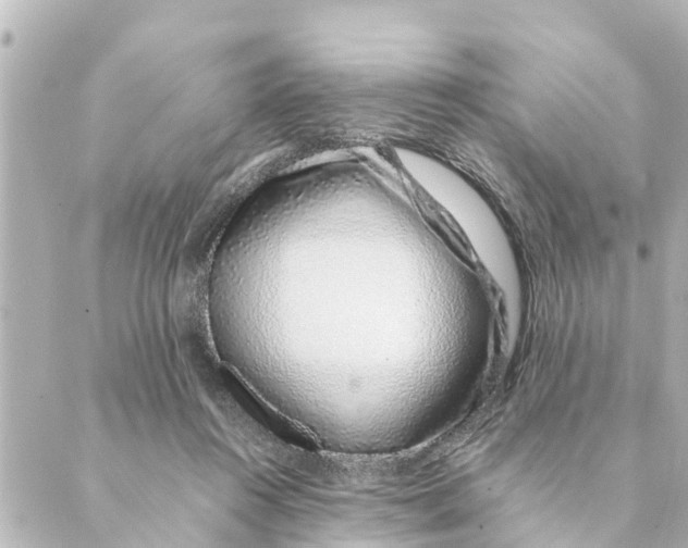 X0000088620360200706221501