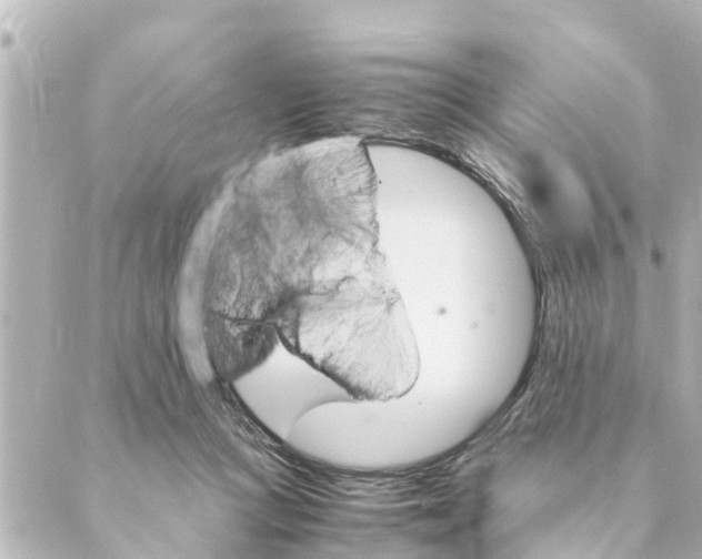 X0000088620361200706221501