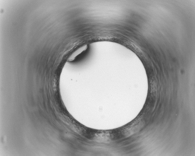 X0000088620362200706221501