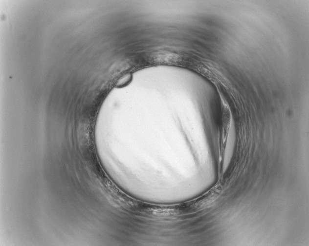 X0000088620363200706221501