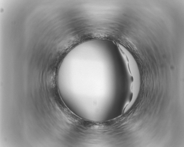 X0000088620364200706221501