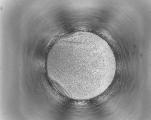 X0000088620365200706221501