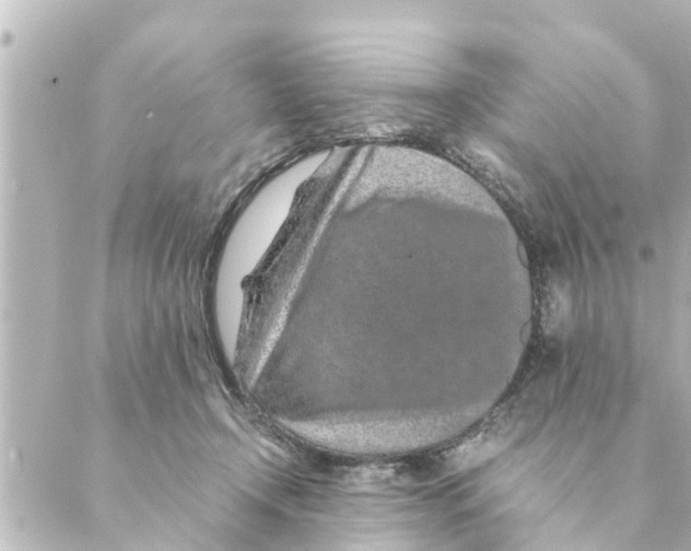 X0000088620366200706221501