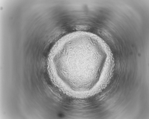 X0000088620367200706221501