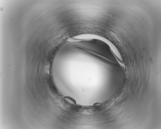 X0000088620368200706221501