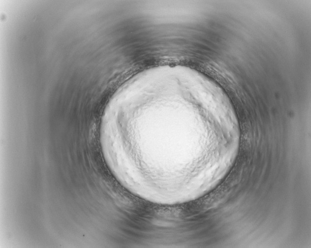 X0000088620369200706221501