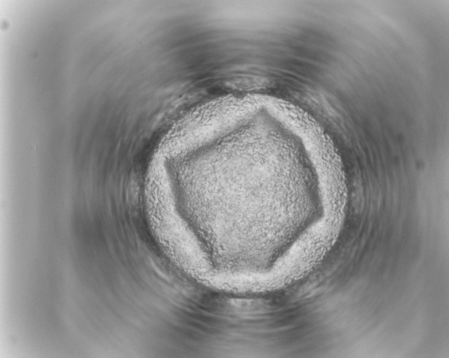 X0000088620371200706221501