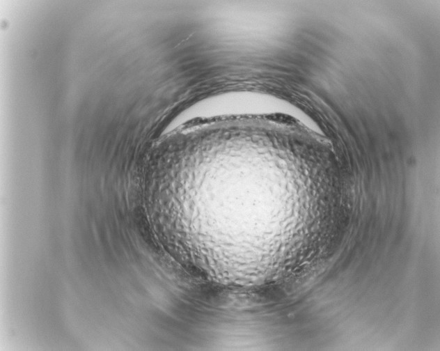 X0000088620372200706221501