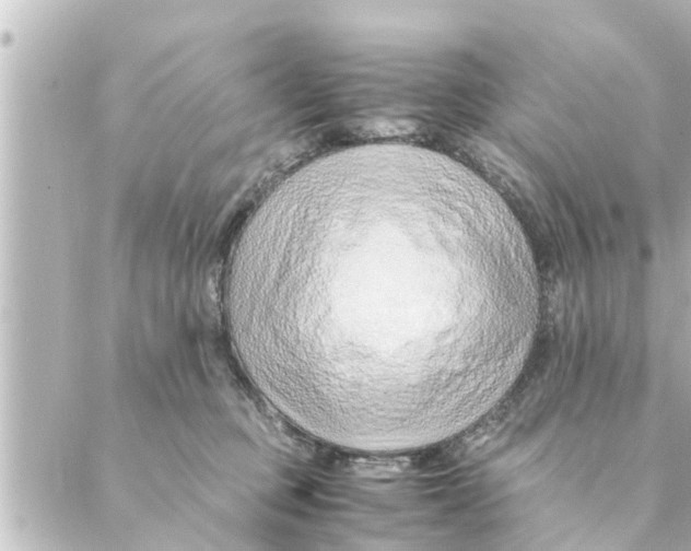 X0000088620373200706221501