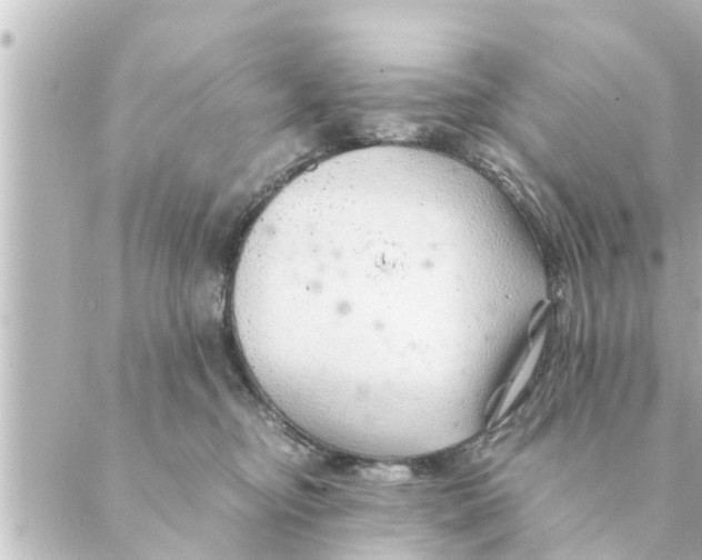 X0000088620374200706221501