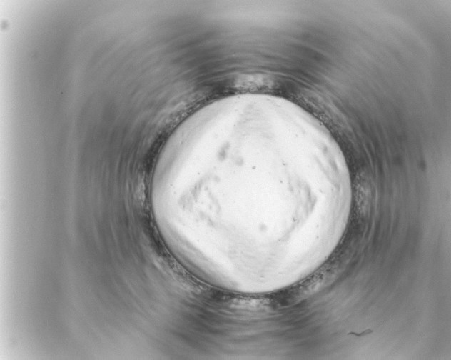 X0000088620375200706221501