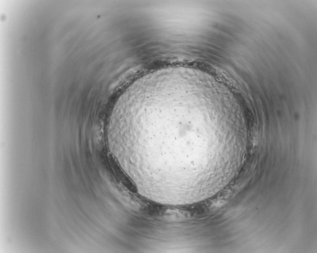 X0000088620376200706221501